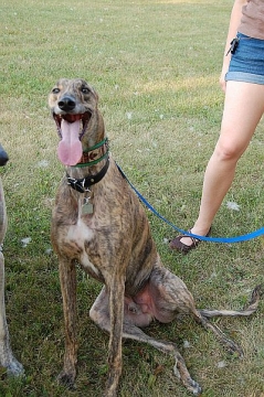 image july-31-10-jpg